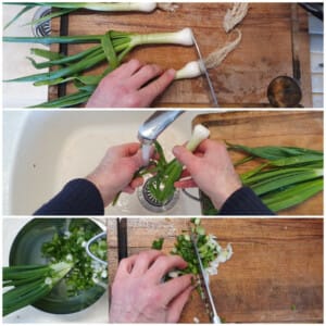 Croquettes aux oignon nouveaux, champignons et tofu – Instruction 0 Croquettes aux oignon nouveaux, champignons et tofu - Instruction 0