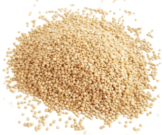 Image de quinoa