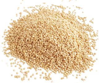 Image de quinoa