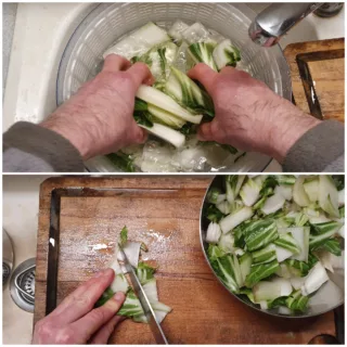 Côtes de blettes en gratin - Instruction 0