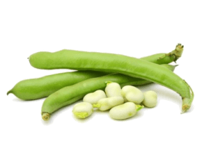 Image de broad beans