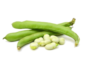 Image de broad beans