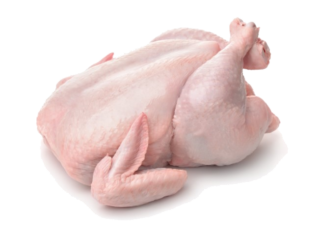 Image de Poultry