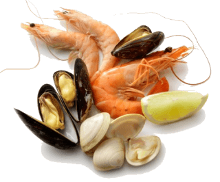 Shellfish and Seafood in the Kitchen: Everything You Need to Know