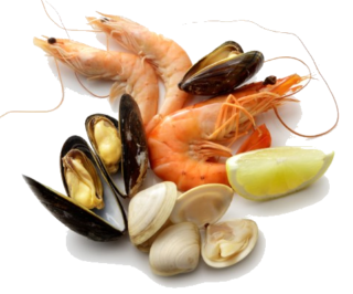 Shellfish and Seafood in the Kitchen: Everything You Need to Know