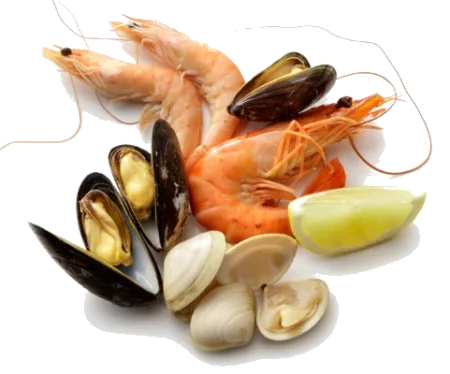 Fruits de mer