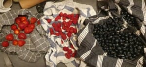 Fruits des bois sur biscuit sablé - Instruction 11