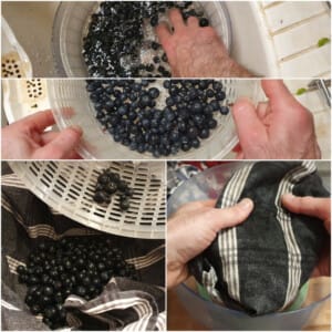 Fruits des bois sur biscuit sablé - Instruction 10