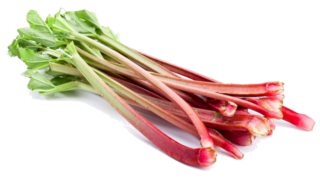 Image de rhubarb