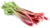 Image de rhubarb