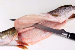 The Sole Filleting Knife: Features, Use, and Care