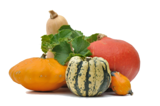 Image de Fall