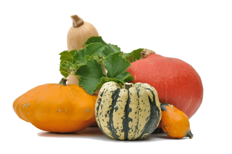 Cuisine d'automne