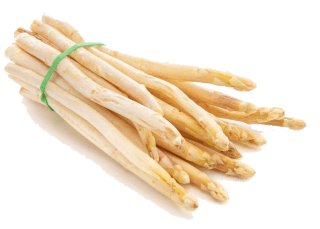 Image de white asparagus