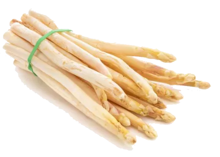 Asperge blanche