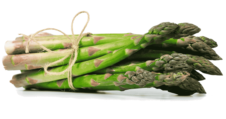 Botte d'asperges vertes