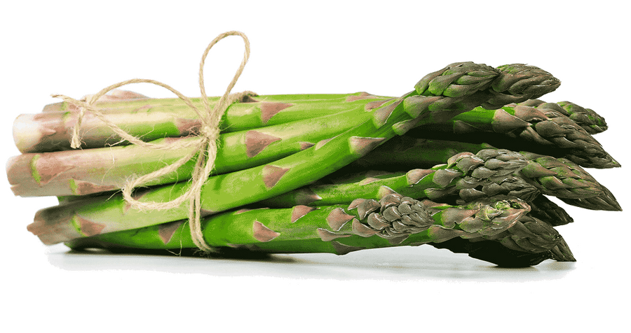 Asparagus in the Kitchen: Season, Nutritional Value, and Preparation