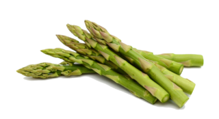 Image de Spring