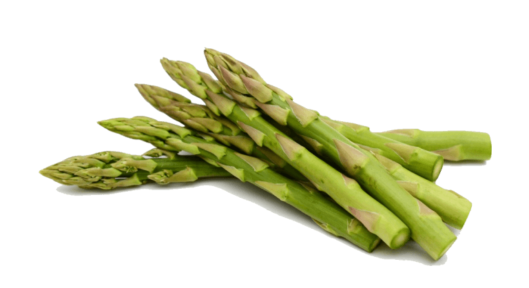 Asperge verte
