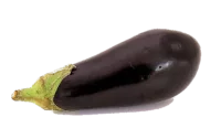 aubergine Aubergine