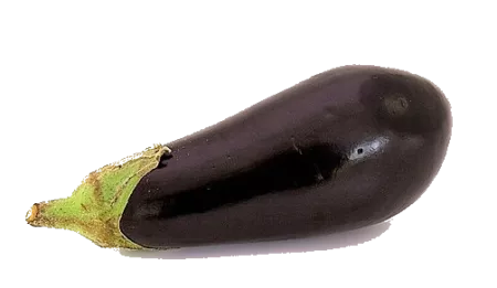Aubergine