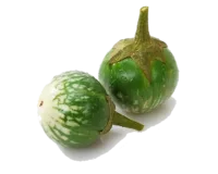 Aubergine Thaï