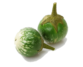 Image de Thai eggplant