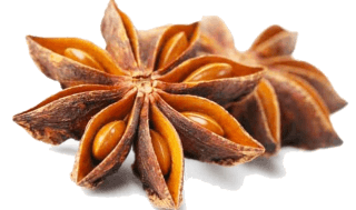 Image de star anise