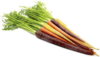 Rainbow carrots in the kitchen: seasonality, nutritional value, and preparation