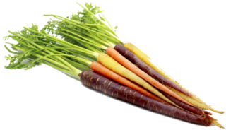 Image de rainbow carrot
