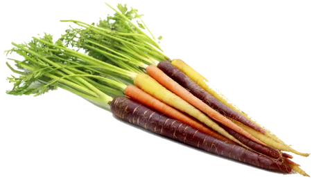 Carotte arc-en-ciel