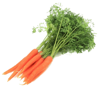 Carrots in the Kitchen: Season, Nutrition, and Preparation