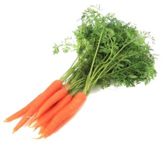 Image de "top" carrot