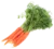Image de "top" carrot