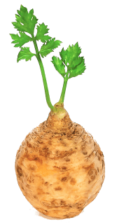 Image de celeriac