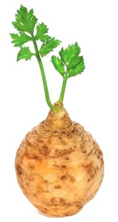 Image de celeriac