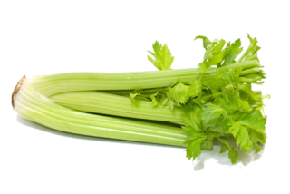 Celery in the Kitchen: Season, Nutritional Value, and Preparation