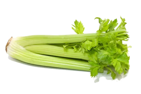 Céleri branche