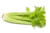 Image de celery