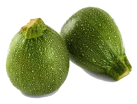 Courgette ronde