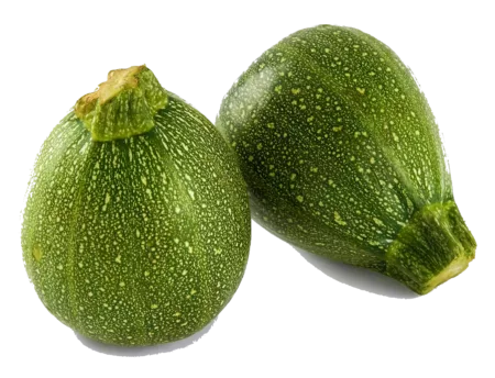 Courgette ronde
