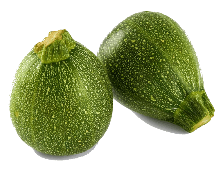Courgette ronde