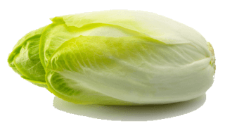 Image de endive