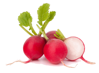 Image de radish
