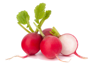 Image de radish