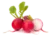 Image de round radish