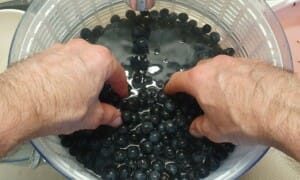 Tarte aux myrtilles des Pyrénées - Instruction 3