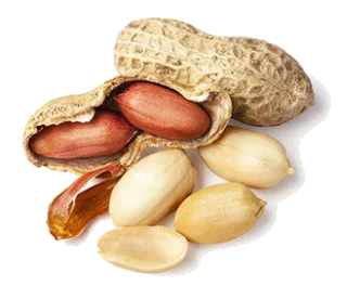 Peanuts in the Kitchen: Seasonality, Nutrition, and Preparation