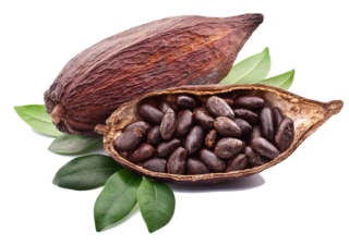 Image de cocoa