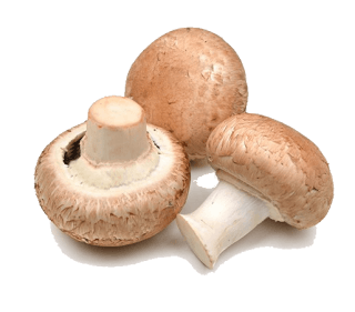 Image de button mushrooms